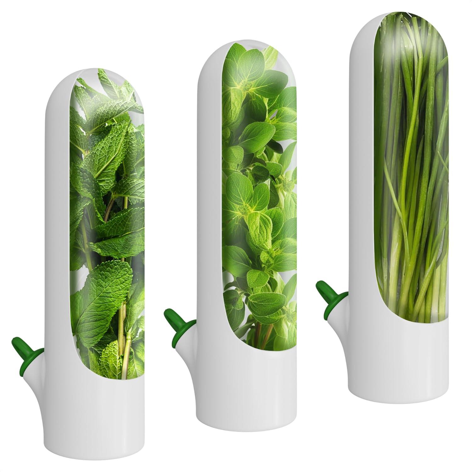 Conservador Capsula Vegetales y Hierbas