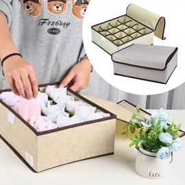 Organizador Con Tapa Y Divisiones 