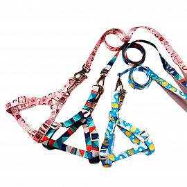 Correa Con Arnes Grande